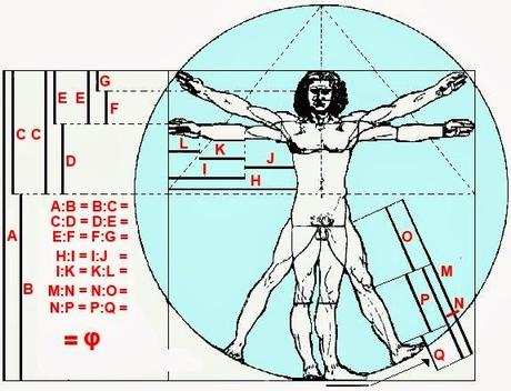 La razón dorada en las proporciones del cuerpo humano