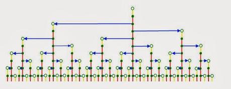 Fractal que se forma con la difusión del mensaje a través de SMS individuales