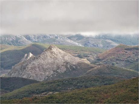 Otra repoblación (I)