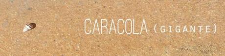 caracola4