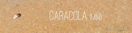 caracola2