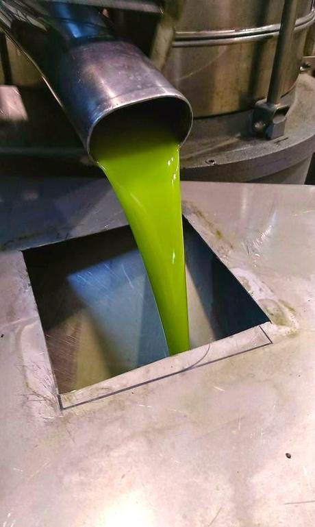 FLAN DE ACEITE DE OLIVA