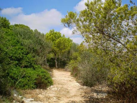 Ruta por nuestros rincones preferidos en Mallorca