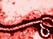 ébola, cómo transmite peligroso