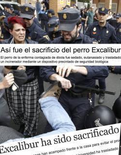 Manifestación pro Excálibur y titulares morbosos.