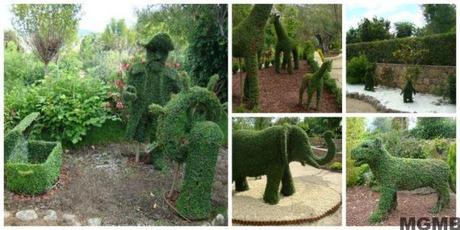 El Bosque Encantado: un jardín botánico de cuento de hadas bosque03