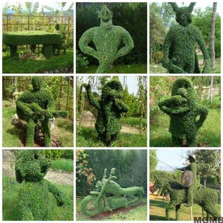 El Bosque Encantado: un jardín botánico de cuento de hadas bosque04