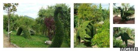 El Bosque Encantado: un jardín botánico de cuento de hadas bosque02
