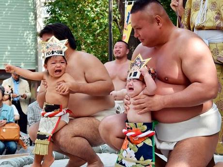 Japón: Bebés llorones se enfrentan en tradicional festival en Japón