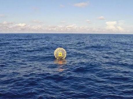Rescatan a un hombre que flotaba dentro de una burbuja gigante en costas de Florida Rescatan a un hombre que flotaba dentro de una burbuja gigante en costas de Florida