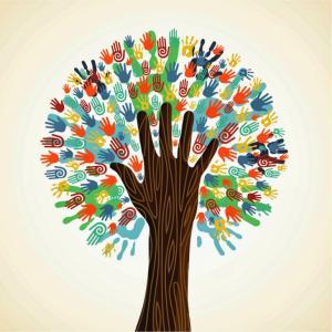 solidaridad 300x300 La beneficencia no empieza por casa