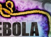 ¿quiénes crees responsables para ébola haya llegado definitivamente españa?