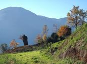 entorno favorable felicidad