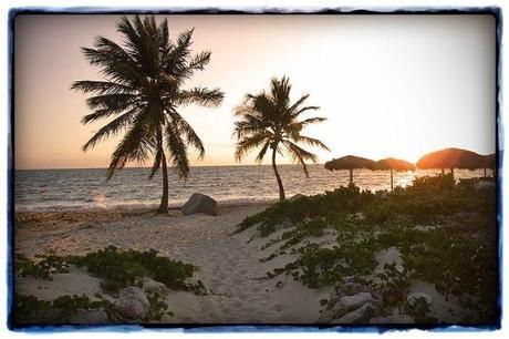 Jardines del Rey, donde habitan los flamencos rosados