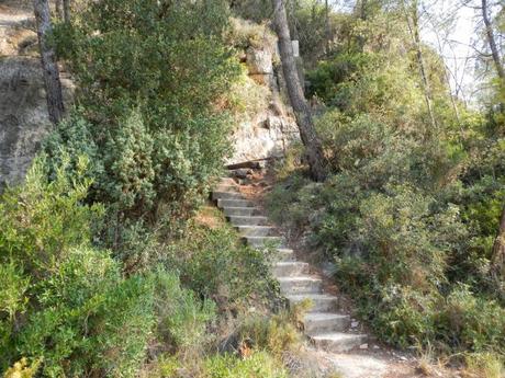 De Pallejà al Pic de l'Àliga. Muntanyes de l'Ordal