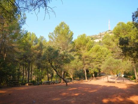 De Pallejà al Pic de l'Àliga. Muntanyes de l'Ordal