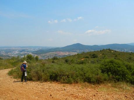 De Pallejà al Pic de l'Àliga. Muntanyes de l'Ordal