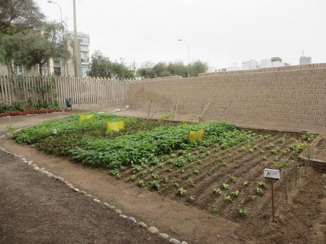 Huaca Pucllana, Pasado Preinca de Lima