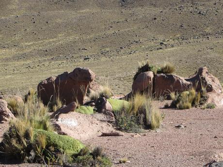 Cotahuasi, el Cañon de las Maravillas, segunda parte: Huaynacotas, El Bosque de Rocas de Huarmunta y la Fortaleza de Llamocca