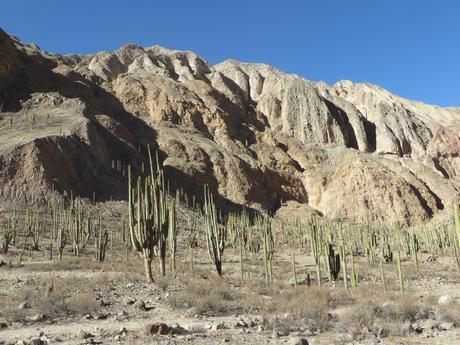 Cotahuasi, el Cañón de las Maravillas, cuarta parte: Judiopampa y las Cataratas de Sipia