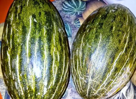 Ensalada de Melón y 2º, 3º y 4º Premio Dardos Ensalada de Melón y 2º, 3º y 4º Premio Dardos