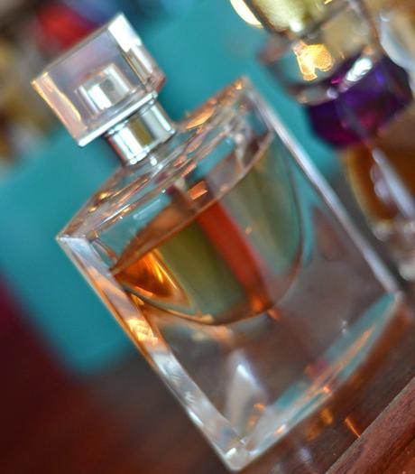 3 opciones de perfumes para regalos  !!!