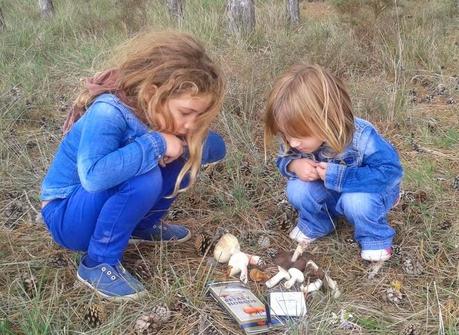 A ver más que a recoger setas