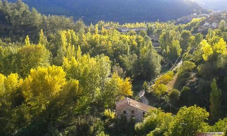 A ver más que a recoger setas