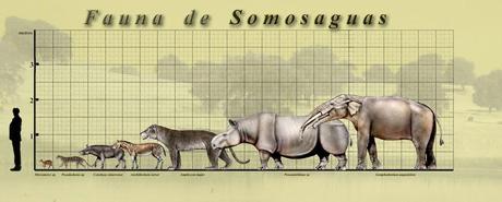 El dichoso paleoambiente y cómo reconstruirlo