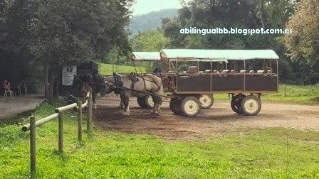 Forests, volcanoes and lakes