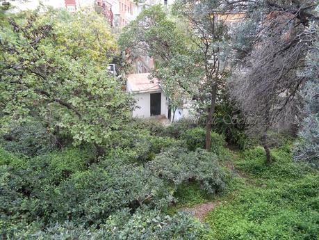 LA FAMILIA GIL,Y EL TURÓ D'EN GIL; (PARC DE MONTEROLS) 1ª, PARTE, BARCELONA, 12-10-2014...!!! LA FAMILIA GIL,Y EL TURÓ D'EN GIL; (PARC DE MONTEROLS) 1ª, PARTE, BARCELONA, 12-10-2014...!!!