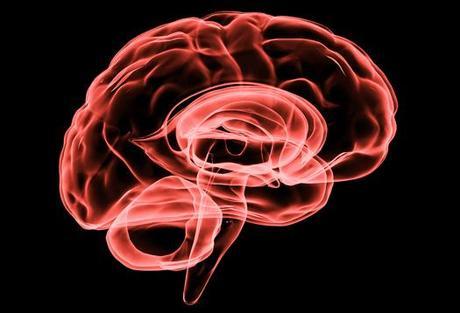 Gut-bacteria-and-stroke