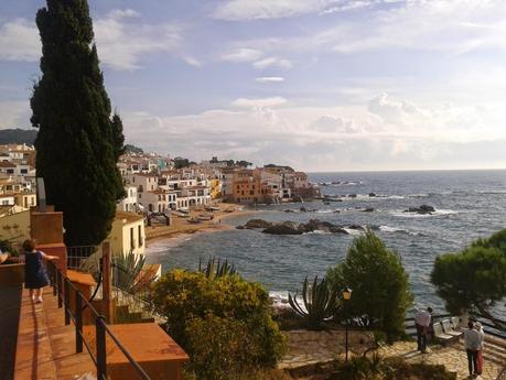 Radikal Swim 1.5km . MarBrava