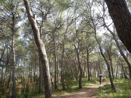 De Tarragona a Altafulla por el camí de ronda