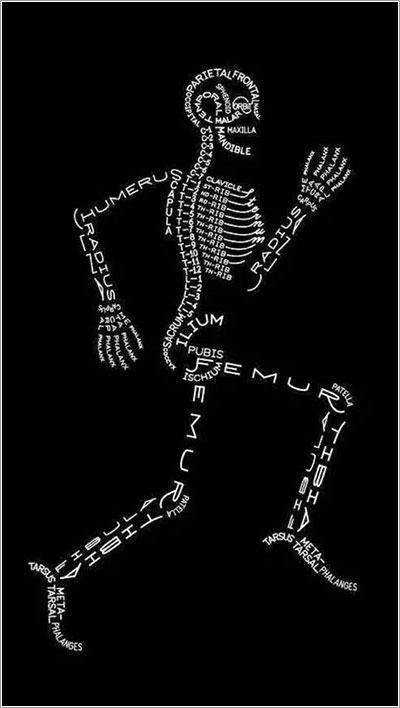 Los huesos con sus nombres