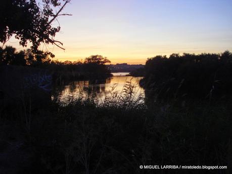 Poéticamente conmovido