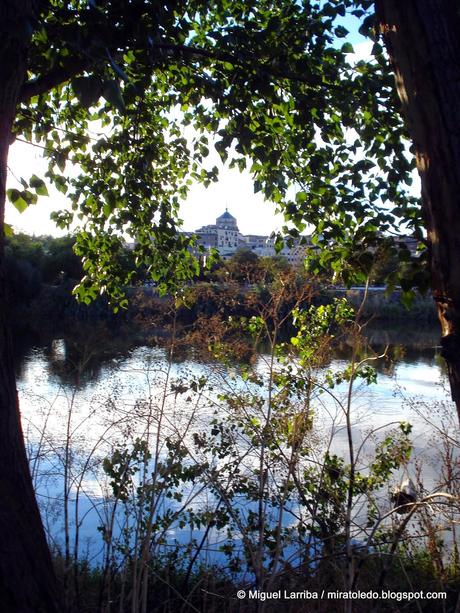 Poéticamente conmovido