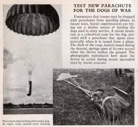 Los perros paracaidistas