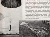 perros paracaidistas