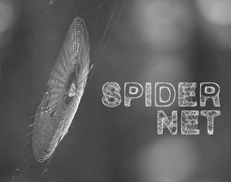 spider_type_free_font_by_saltaalavista_blog