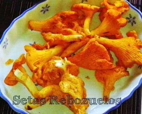 TEMPORADA DE .......................................(Setas y Hongos).-