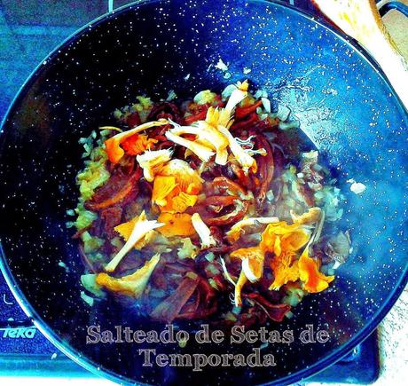 TEMPORADA DE .......................................(Setas y Hongos).-