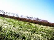 otoño… otoño? autumn what autumn?