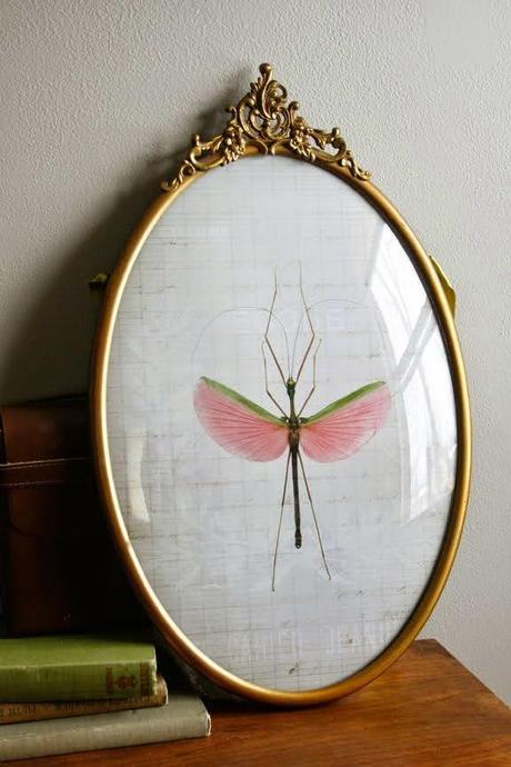 ¿Cóncavo o convexo?