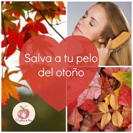 Salva a tu pelo del otoño: ¡ya!