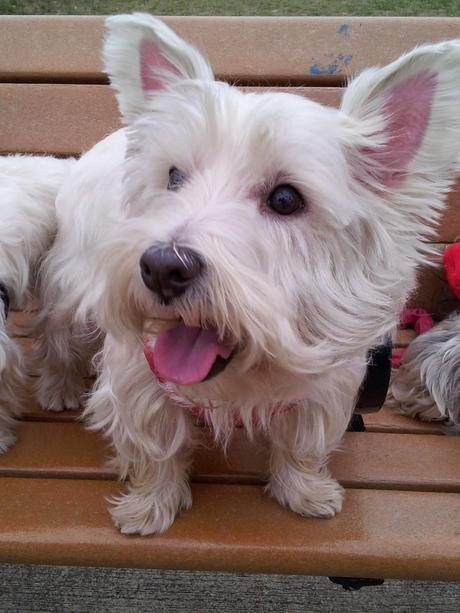 El juego de los cinco minutos