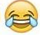 Emoji Book tag