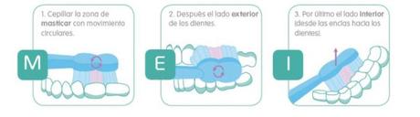 cepillado dientes mam grafico