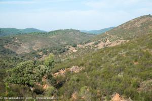 Parque de Monfragüe