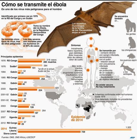 Cómo se transmite el Ébola #Infografía #Salud #Ébola